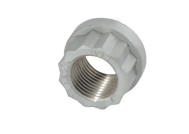 china hexagon flange nut